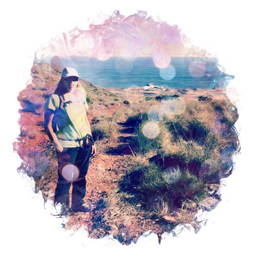 Noe photo lab